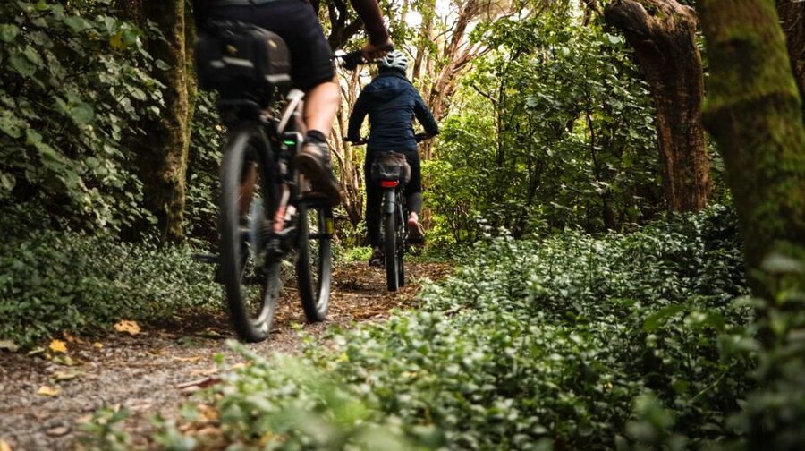 Wellington: Remutaka Rail Trail Cycle Tour - Bike setup, assist options, and how hard you should train