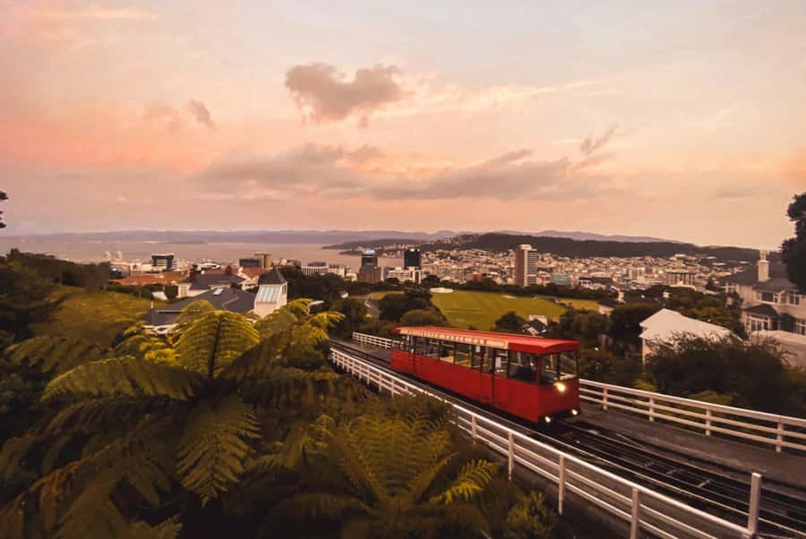 Wellington: Return Cable Car Ticket - The Classic Walk Down: Botanic Gardens to Bolton Street Cemetery and the Beehive