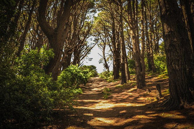 Wellington's Original HD LOTR Experience - includes Weta Tour - Timing, weather, and how to keep your half-day from feeling rushed