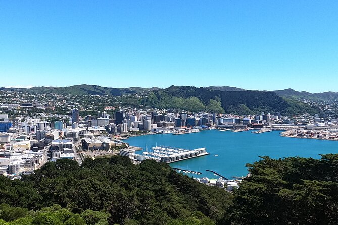 Wellington's Original LOTR Experience - includes Weta and Lunch - Price and what you actually get for $201.69