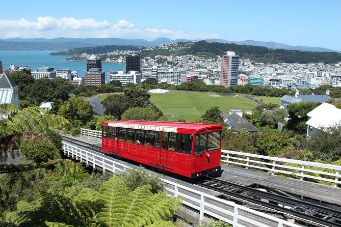 Wellington Scenic Full Day Tour - Key highlights