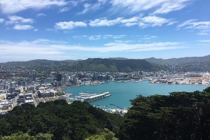 Wellington Scenic Full Day Tour - Pickup at 9:30 and what’s included in the $283.60 value