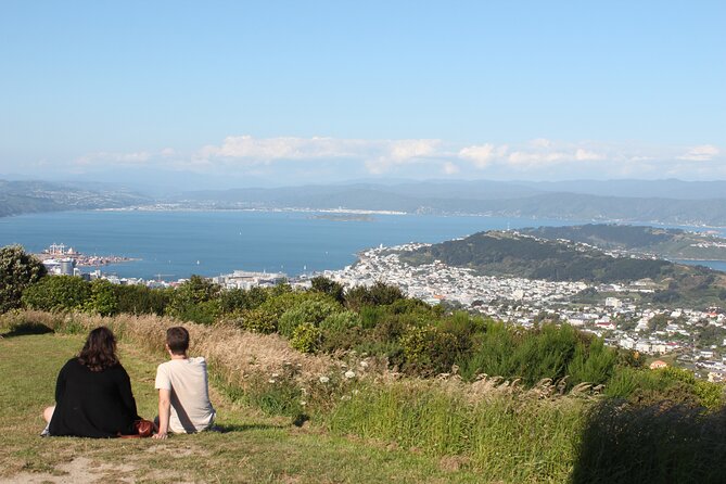 Wellington Scenic Full Day Tour - Botanical gardens, the waterfront sign, and Mount Victoria viewpoints