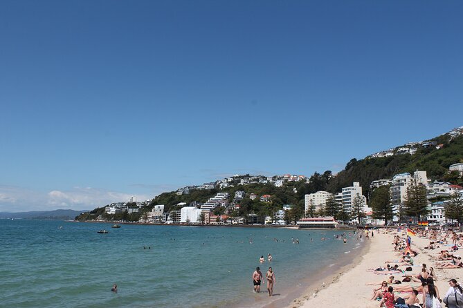 Wellington Scenic Full Day Tour - Lunch at Scorch O Rama, then gelato at Zelati