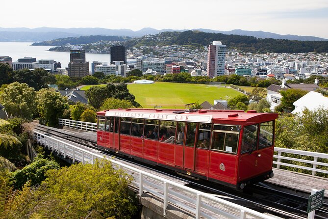 Wellington Shore Excursion City Sightseeing Tour - Key points to know before you go