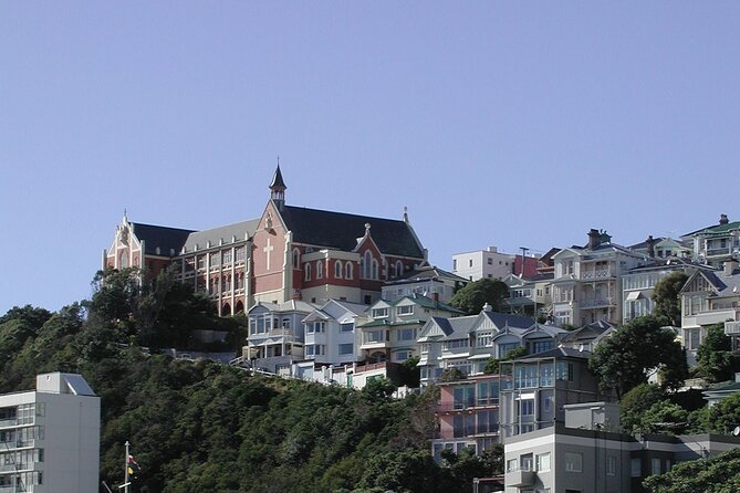 Wellington Shore Excursion City Sightseeing Tour - Lyall Bay and the rugged coast drive, plus a return through scenic inlets