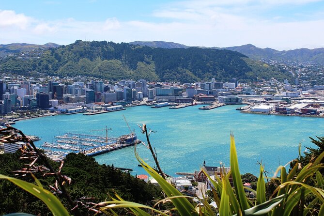 Wellington Shore Excursion City Sightseeing Tour - Guide quality, photo breaks, and timing headaches to avoid