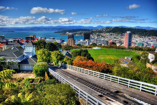 Wellington Shore Excursion City Sightseeing Tour - Price and value: is $96.19 a good deal for Wellington?