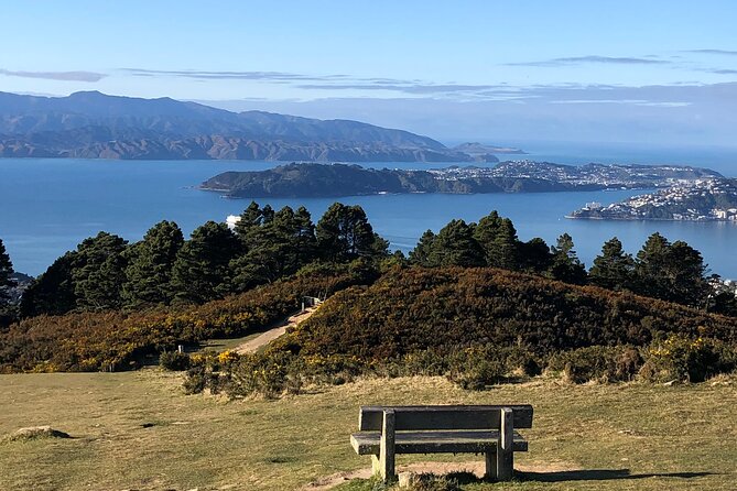 Wellington: Wild Skyline Guided Hiking Tour, Transfers + Lunch - Key Highlights at a Glance