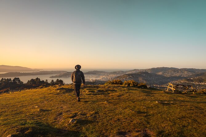 Wellington: Wild Skyline Guided Hiking Tour, Transfers + Lunch - Wellington’s Skyline Hike, Built for Views and Good Flow
