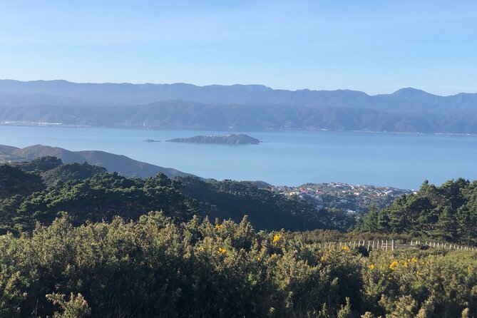 Wellington: Wild Skyline Guided Hiking Tour, Transfers + Lunch - Transfers and Small-Group Size: Less Waiting, More Walking