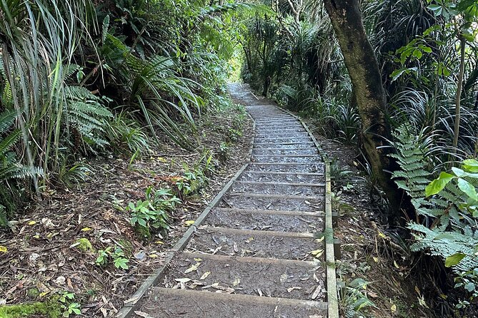 Wellington: Wild Skyline Guided Hiking Tour, Transfers + Lunch - Your Guide, Alex, and the Stories That Make the Walk Stick