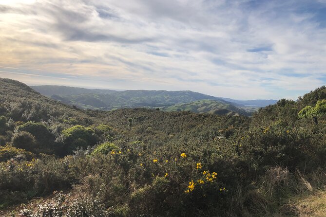 Wellington: Wild Skyline Guided Hiking Tour, Transfers + Lunch - Weather Matters More Than You Think in Wellington