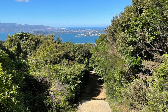 Wellington: Wild Skyline Guided Hiking Tour, Transfers + Lunch - Value Check: Is $154.52 Worth a 5-Hour Guided Hike?