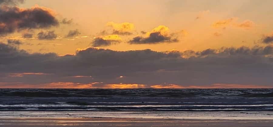 West Auckland: Sunset with Thermal pool & Wine Tasting - Winery dinner and wine tasting: a calm finish to a full afternoon