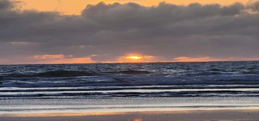 West Auckland: Sunset with Thermal pool & Wine Tasting - Price and value: why this costs what it costs