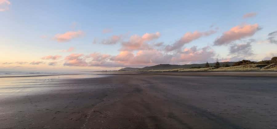 West Auckland: Sunset with Thermal pool & Wine Tasting - Who should book West Auckland Sunset with Thermal Pool and Wine Tasting