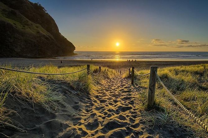 West Coast Discovery - Piha Beach or Muriwai Beach from Auckland - Why This West Coast Tour Feels Different Than Self-Driving