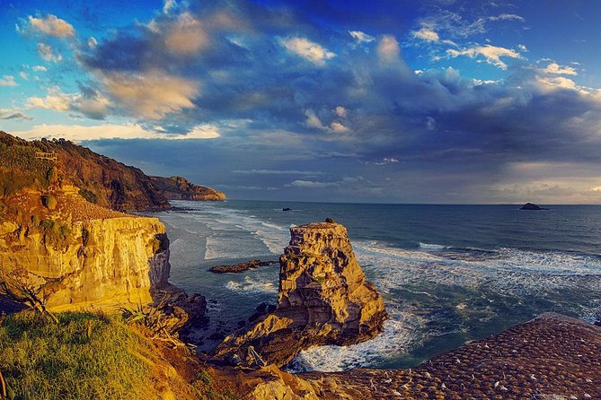 West Coast Discovery - Piha Beach or Muriwai Beach from Auckland - How the Tour Handles Timing and Stop Choice