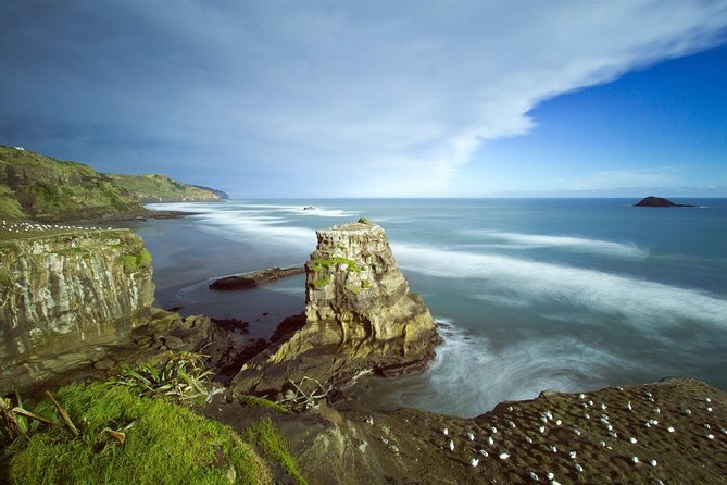 West Coast Discovery - Piha Beach or Muriwai Beach from Auckland - Price and Value: What You’re Paying For
