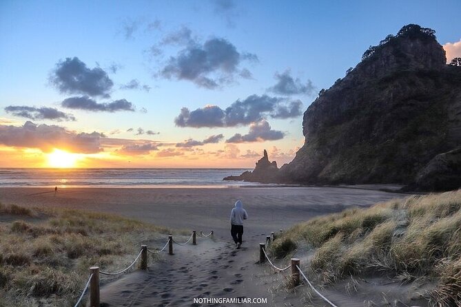 West Coast Discovery Tour - Who should book this Piha-based day tour