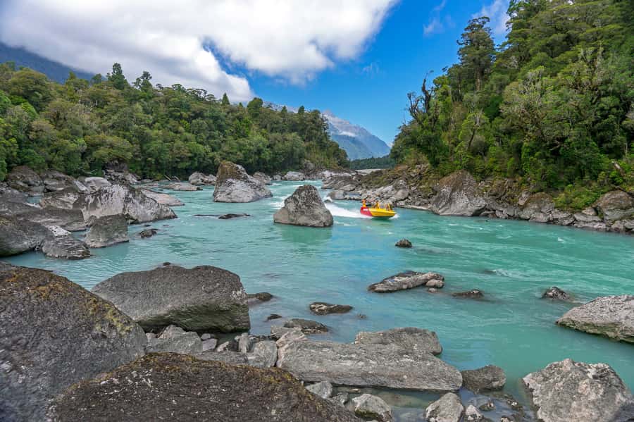 West Coast: Eco River Safari in UNESCO World Heritage Area - Key highlights that make this safari worth your time