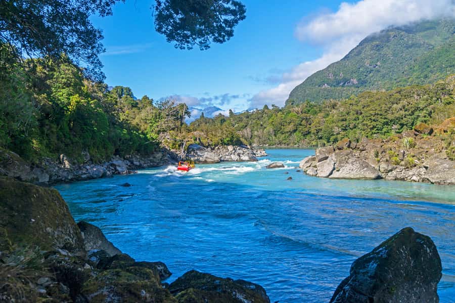 West Coast: Eco River Safari in UNESCO World Heritage Area - West Coast UNESCO country, seen from the river