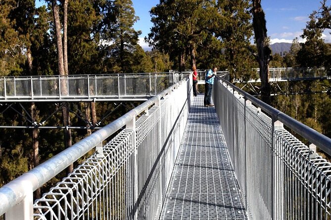 West Coast Tower Zipline & Treetop Walk Combo - Rimu canopy views and a 45m tandem zipline near Greymouth