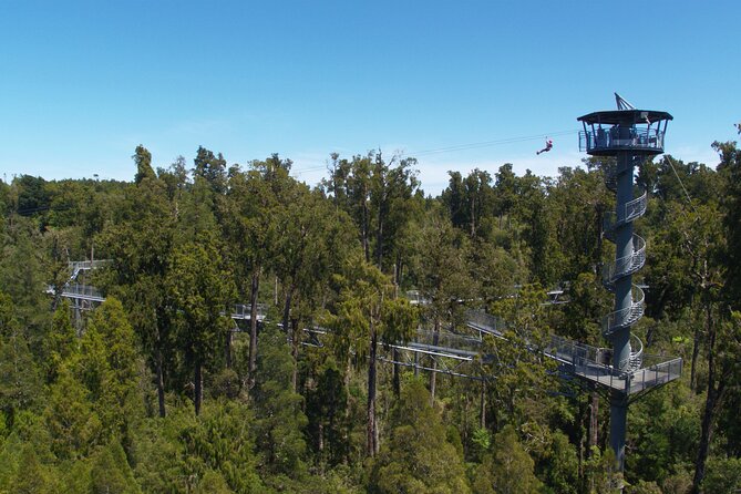 West Coast Tower Zipline & Treetop Walk Combo - Climbing the spiral tower: 106 steps, then your view pays off