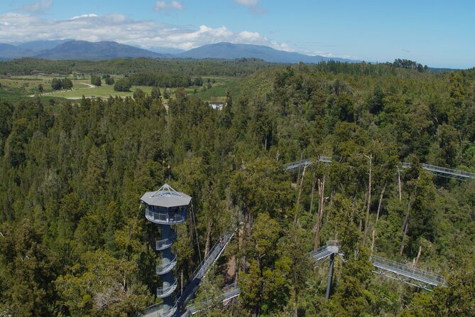 West Coast Tower Zipline & Treetop Walk Combo - Tandem zipline over the Rimu canopy at 45 meters