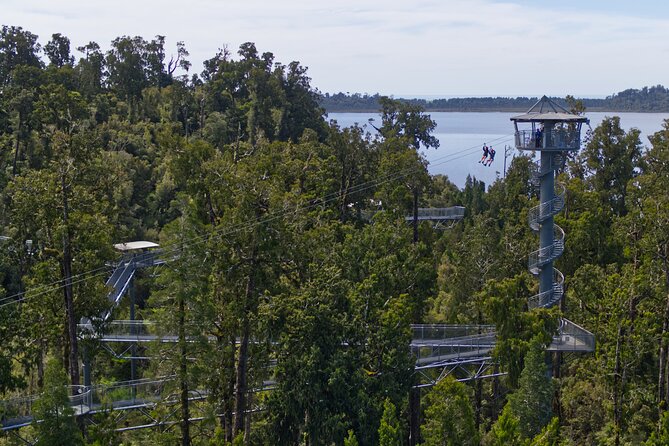 West Coast Tower Zipline & Treetop Walk Combo - Post-zip line cafe: the smart way to end this adventure