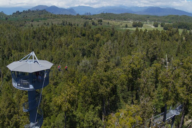 West Coast Tower Zipline & Treetop Walk Combo - Price and value: is $74.47 for 2 hours worth it?
