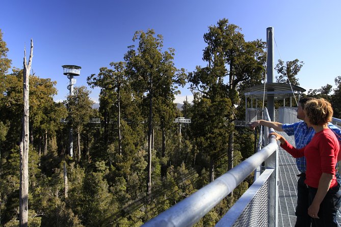 West Coast Treetop Walk - Getting There: From Hokitika to the Treetops in About 15 Minutes