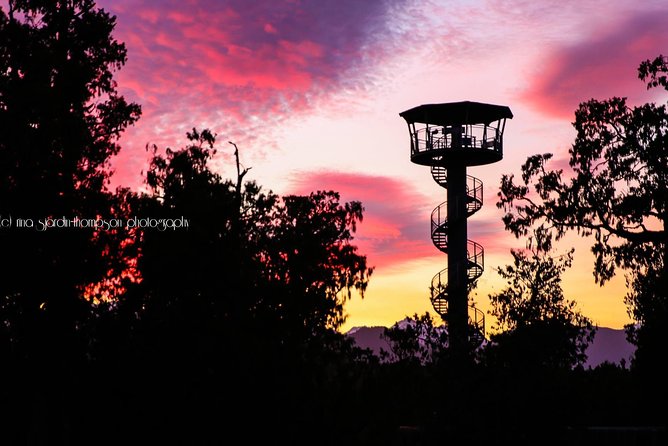 West Coast Treetop Walk - Brochure Stops and Wildlife Spotting: Learning While You Walk