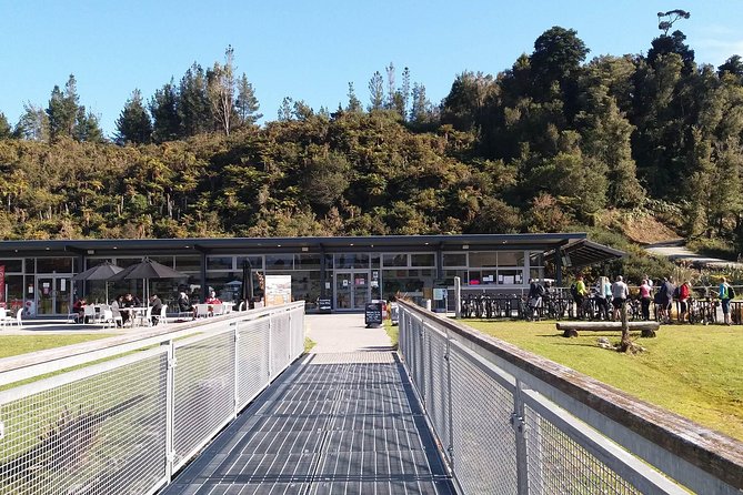 West Coast Treetop Walk - Duration and Timing: Why 45 Minutes Can Feel Like More