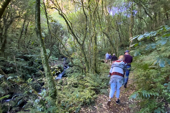 Western Bays Sightseeing Tour from Kinloch Lake Taupo - Stop 1 in Western Bay: rock faces, formations, ravines