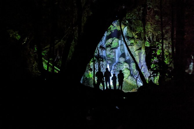 Whaka Trails and Maori Village Combo Tour - Photo tips that actually help at Pohutu and on the trails
