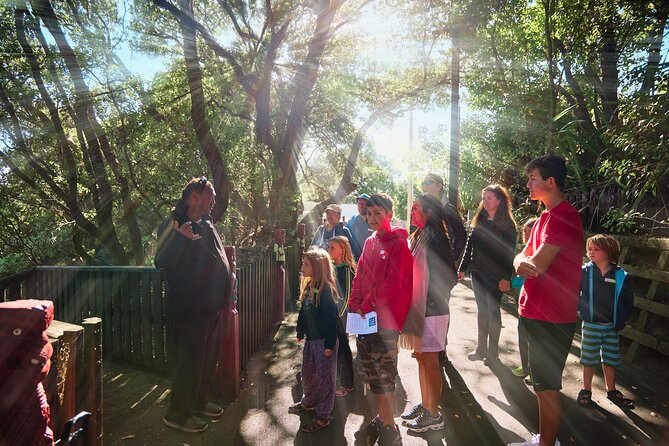 Whaka Trails and Maori Village Combo Tour - Corn on the cob cooked in a hot pool: included, and actually useful