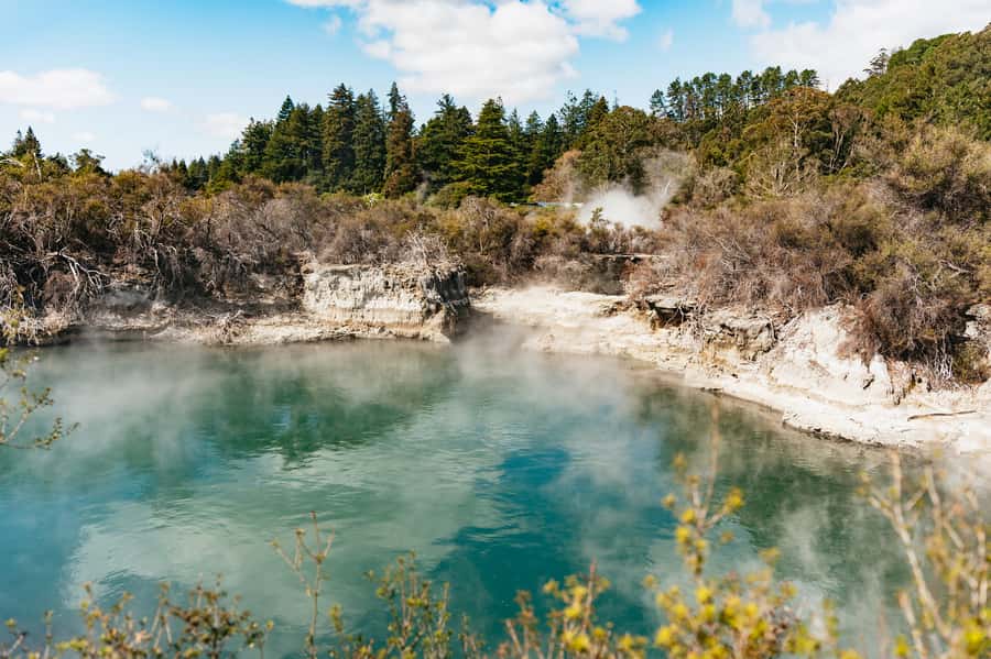 Whakarewarewa: Self-Guided Geothermal Trails - Key things to know before you go