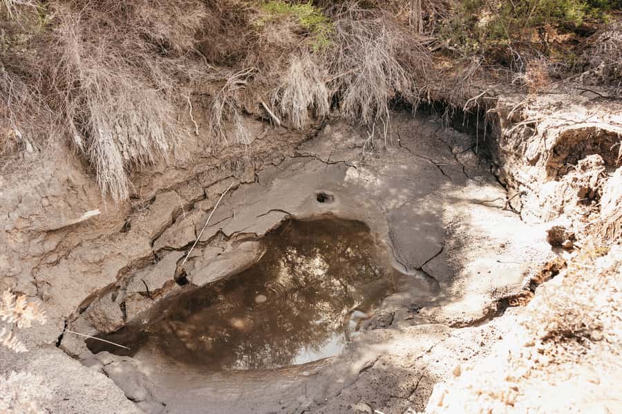 Whakarewarewa: Self-Guided Geothermal Trails - Photo and camera tips for steaming pools and thermal steam