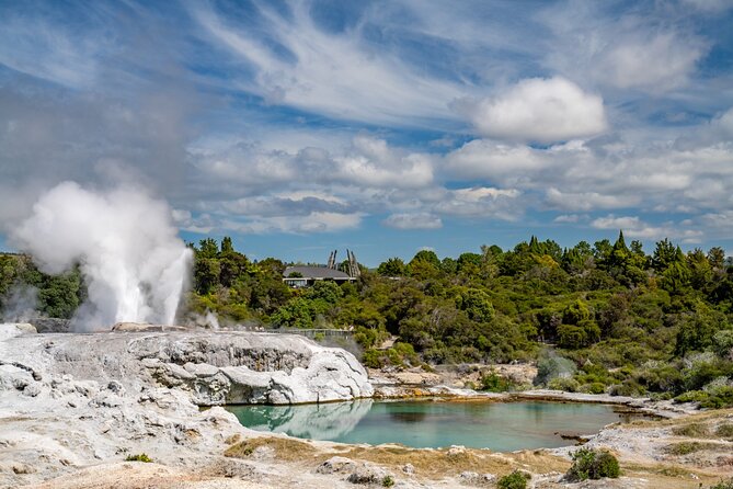 Whakarewarewa Village Guided Tour - The geothermal highlights: mud pools and Pohutu Geyser from safe platforms