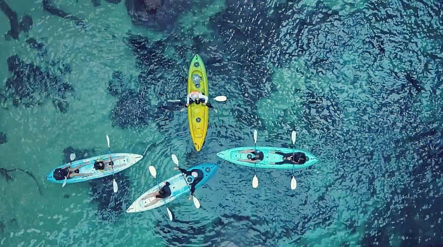 Whangamata: Donut Island Guided Kayaking Experience - Guides on the water: small details that change everything