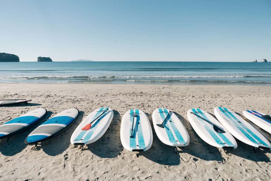 Whangamata: Donut Island Guided Kayaking Experience - The volcanic rock and wildlife sanctuary angle, explained like a friend