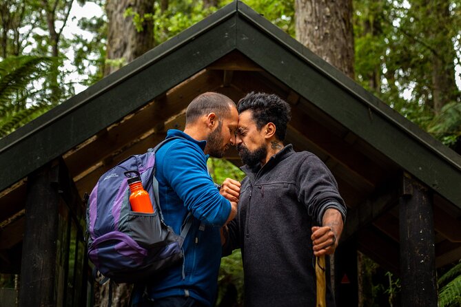 Whirinaki Forest Footsteps: Māori Guided Tour, Picnic & Transfer - Key highlights to look for