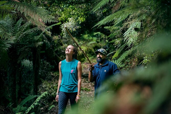 Whirinaki Forest Footsteps: Māori Guided Tour, Picnic & Transfer - Rotorua, but quieter: Whirinaki Forest Footsteps in plain terms