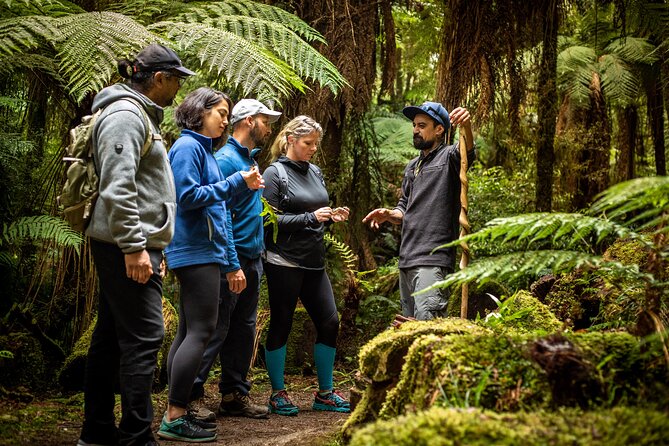 Whirinaki Forest Footsteps: Māori Guided Tour, Picnic & Transfer - Whirinaki Te Pua A Tane Conservation Park: what you’ll actually see