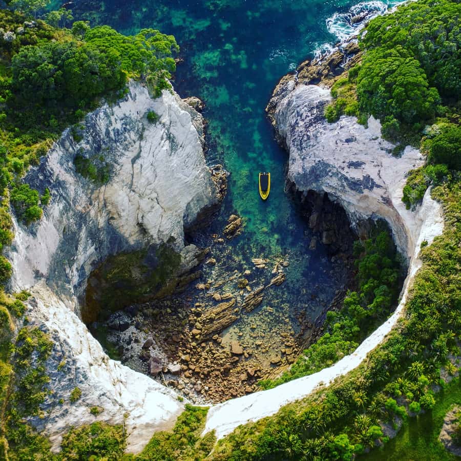Whitianga: 2-Hour Cathedral Cove and Volcanic Coast Cruise - Key Things You Will Notice on This Cruise