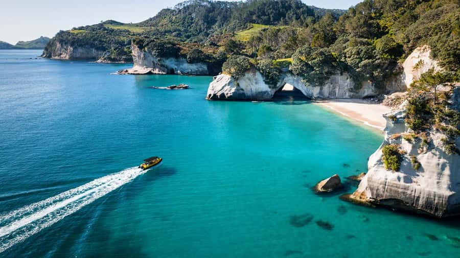 Whitianga: 2-Hour Cathedral Cove and Volcanic Coast Cruise - Guides Make the Difference: Sam and Justin Set the Tone