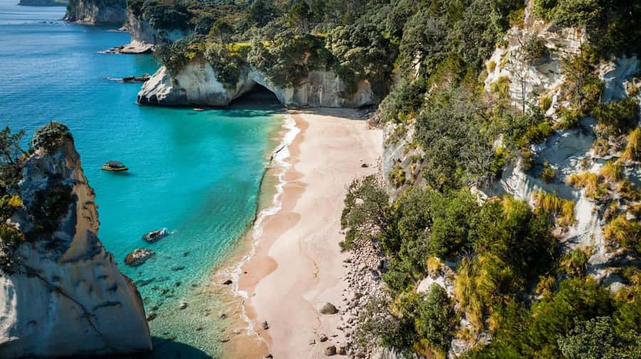 Whitianga: 2-Hour Cathedral Cove and Volcanic Coast Cruise - Hahei, Lonely Bay, and Cooks Beach: The Coast Beyond Cathedral Cove