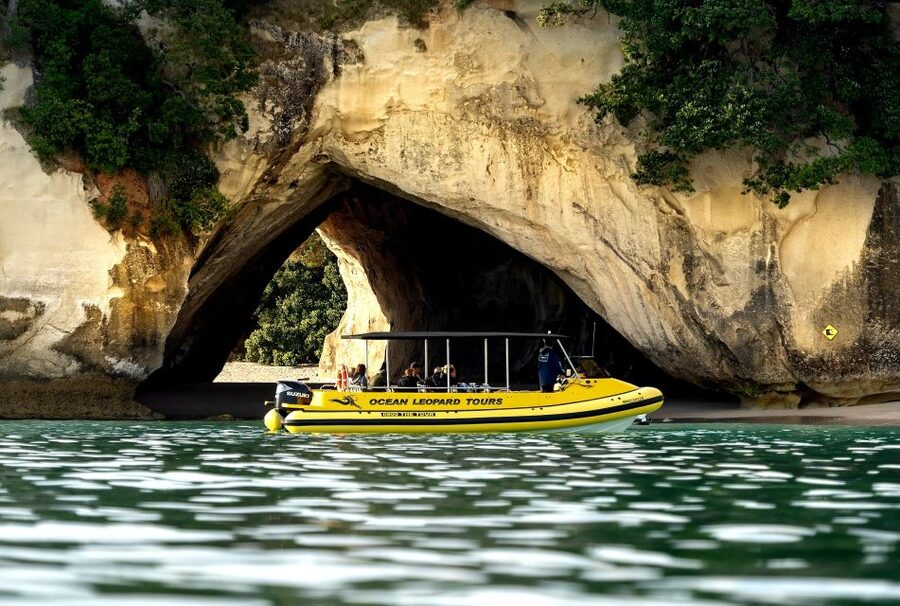 Whitianga: 2-Hour Cathedral Cove and Volcanic Coast Cruise - Price and Value: Is $83 Worth It?